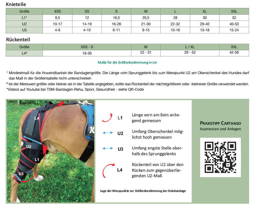 Größen und Messpunkte für die TSM Hundekniebandage Carthago