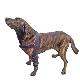 7545 TSM Ellenbogen-Bandage für Hunde "Athena"