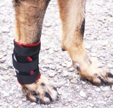 7501 TSM vet-Pro Hund Bandage für das Vorderbein