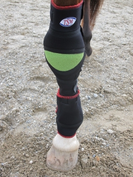 7263 TSM vet-Reha Pferd Narkolepsiebandage, links, Pferdegamaschen