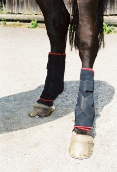 7160 TSM vet-Reha Fesselkopf-Bandage hinten (Paar), Pferdegamaschen