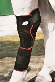 7322 TSM vet-Reha Bandage für Sprunggelenk, rechts, Pferdegamaschen