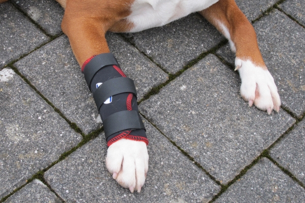 TSM vet-Pro Reha-Bandage für den Hund und sein Vorderbein